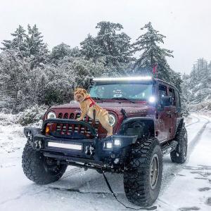 Jeep Wrangler JK (2/4 Doors) & Unlimited 2007-2018 Front & Rear 4 Piece Polyurethane Fender Flares Kit - Image 8